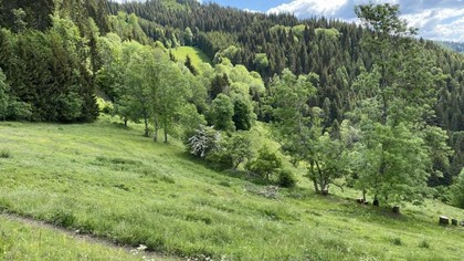 Land- / Forstwirtschaft in 9342 Gurk