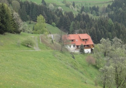 Land- / Forstwirtschaft in 9372 Eberstein