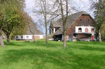 Häuser in 9342 Gassarest