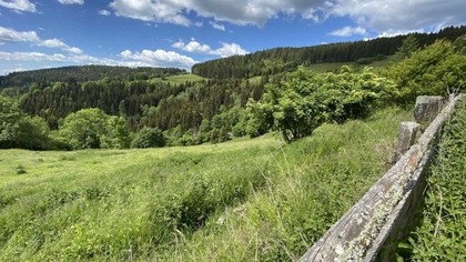 Land- / Forstwirtschaft in 9300 Sankt Veit an der Glan