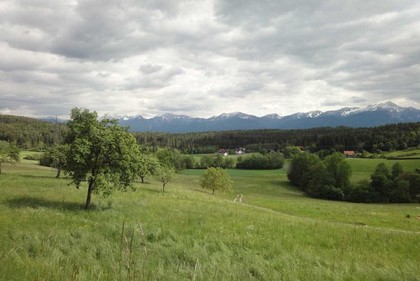 Grundstücke in 9241 Wernberg