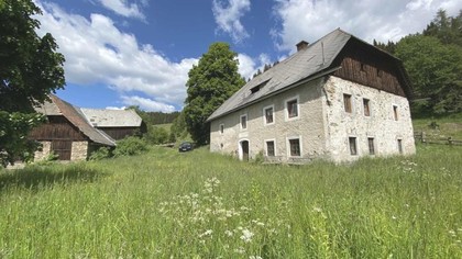 Land- / Forstwirtschaft in 9300 Sankt Veit an der Glan