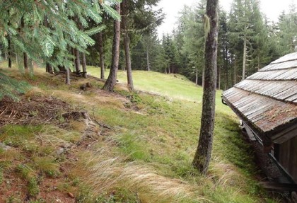 Häuser in 9344 Weitensfeld