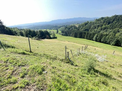 Land- / Forstwirtschaft in 8551 Etzendorf
