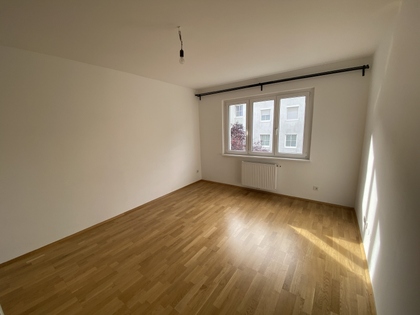 single wohnung krems