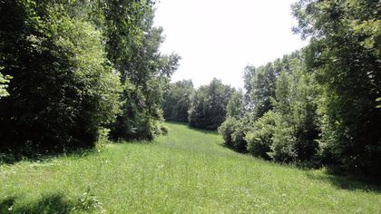 Land- / Forstwirtschaft in 9201 Krumpendorf