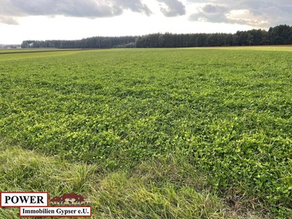 Land- / Forstwirtschaft in 5222 Munderfing