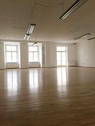 Büros /Praxen in 8010 01. Innere Stadt