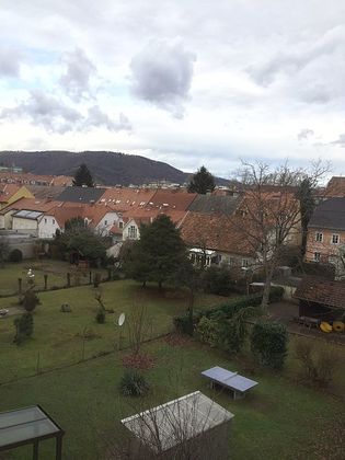 Wohnungen in 8010 03. Geidorf