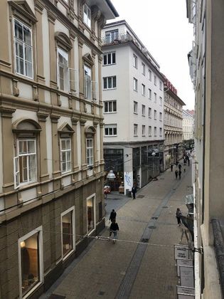 Büros /Praxen in 8010 01. Innere Stadt