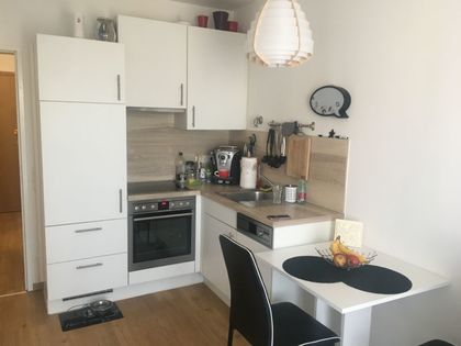 Wohnungen in 4754 Andrichsfurt