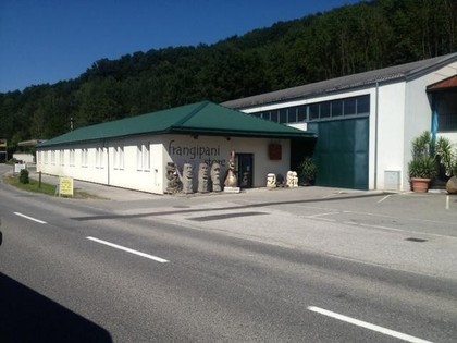 Hallen / Lager / Produktion in 3033 Altlengbach