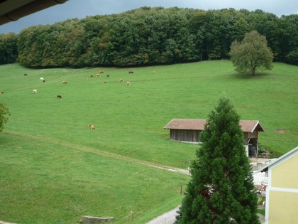 Wohnungen in 3033 Altlengbach