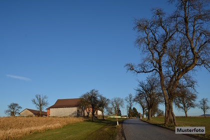 Häuser in 04758 Liebschütz