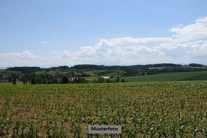 Grundstücke in 71116 Gärtringen