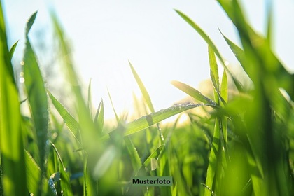 Grundstücke in 87719 Mindelheim