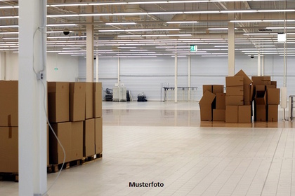 Hallen / Lager / Produktion in 47249 Wanheim-Angerhausen