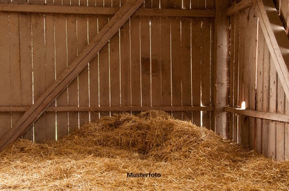 Land- / Forstwirtschaft in 67808 Ruppertsecken