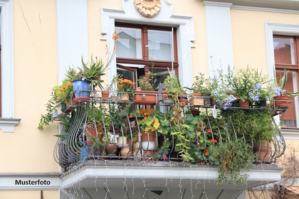 Wohnungen in 08525 Haselbrunn