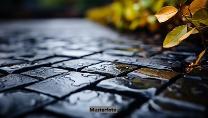 Grundstücke in 39240 Schwarz