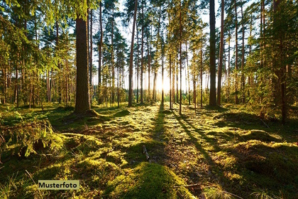 Grundstücke in 54550 Daun