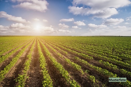 Land- / Forstwirtschaft in 33178 Nordborchen