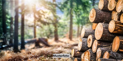 Grundstücke in 97640 Mittelstreu