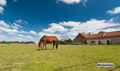 Land- / Forstwirtschaft in 55234 Hochborn