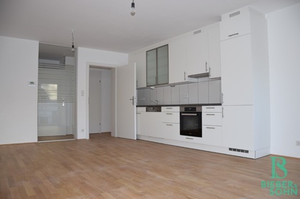 Wohnungen in 1130 Wien
