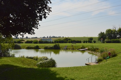 Häuser in 2202 Enzersfeld im Weinviertel