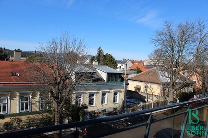 Wohnungen in 2340 Mödling