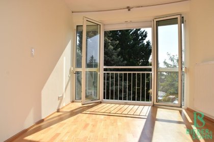 Wohnungen in 2345 Brunn am Gebirge