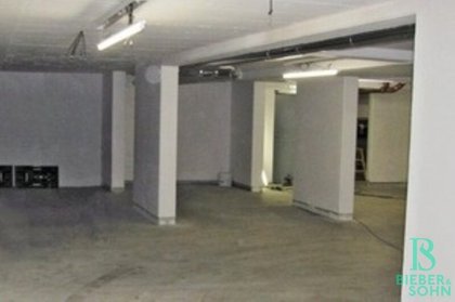 Parken in 1130 Wien