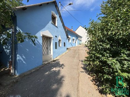 Hobby-, Werkstatt- oder Ferienhäuschen zum Abschalten im wunderschönen Weinviertel an der Grenze zu Tschechien Hobby-, Werkstatt- oder Ferienhäuschen zum Abschalten im wunderschönen Weinviertel an der Grenze zu Tschechien
