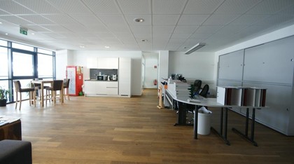 Hallen / Lager / Produktion in 5541 Altenmarkt im Pongau