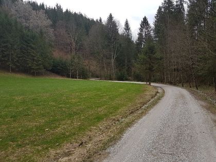 Häuser in 8152 Södingberg