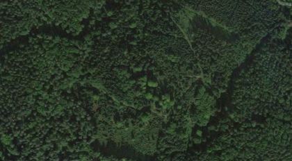 Land- / Forstwirtschaft in 8152 Södingberg