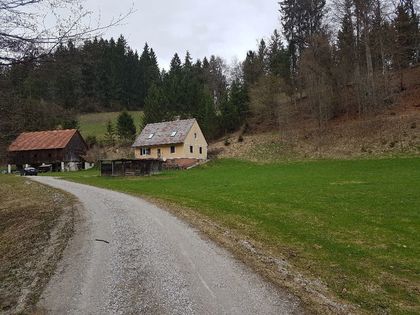 Häuser in 8152 Södingberg