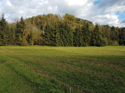 Grundstücke in 8152 Geistthal-Södingberg