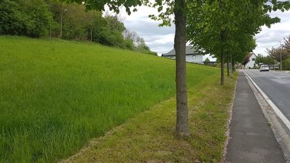 Grundstücke in 8282 Loipersdorf bei Fürstenfeld
