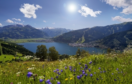 Grundstücke in 5700 Zell am See