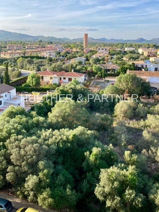 Grundstücke in 07689 Calas de Mallorca
