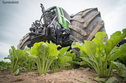 Land- / Forstwirtschaft in 6233 Kramsach