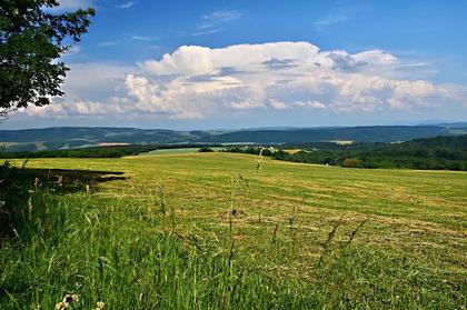 Land- / Forstwirtschaft in Slowakei