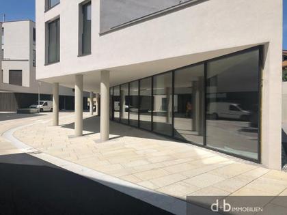 Büros /Praxen in 5760 Saalfelden am Steinernen Meer