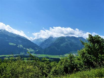 Wohnungen in 5730 Mittersill