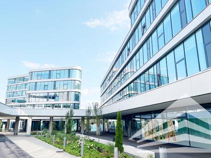 Anlageobjekte in 4020 Friesenegg