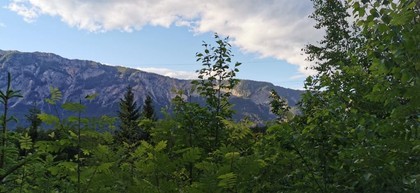 Land- / Forstwirtschaft in 9601 Arnoldstein