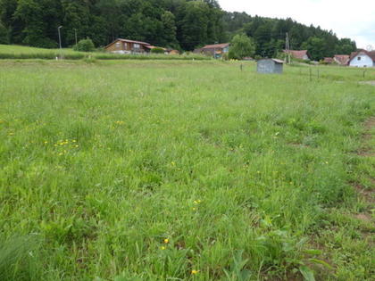 Grundstücke in 8430 Leibnitz