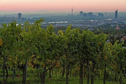Land- / Forstwirtschaft in 1190 Wien